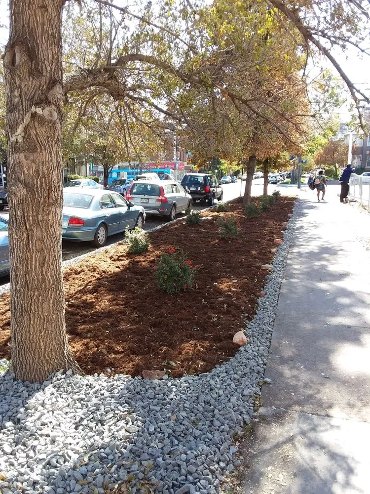 Reliable landscape installation with custom design in Parker, CO by Piney Creek Planters