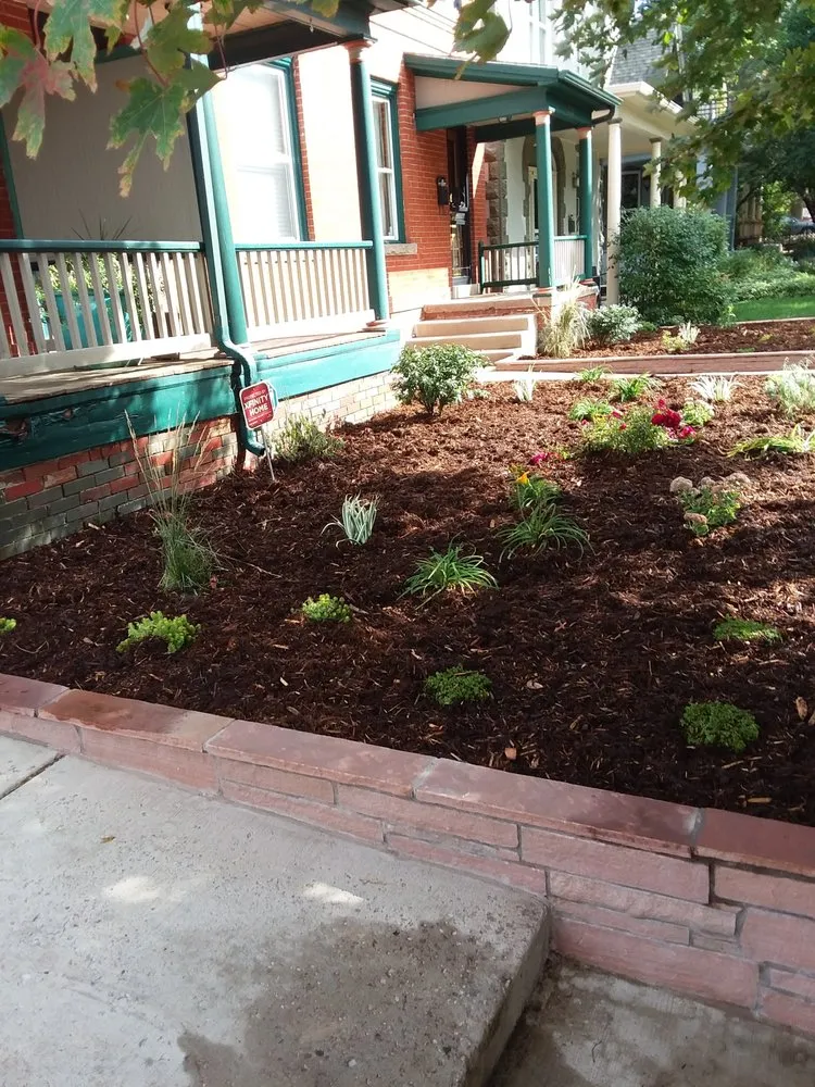 Top-rated landscaping services experts serving Parker, CO - Piney Creek Planters