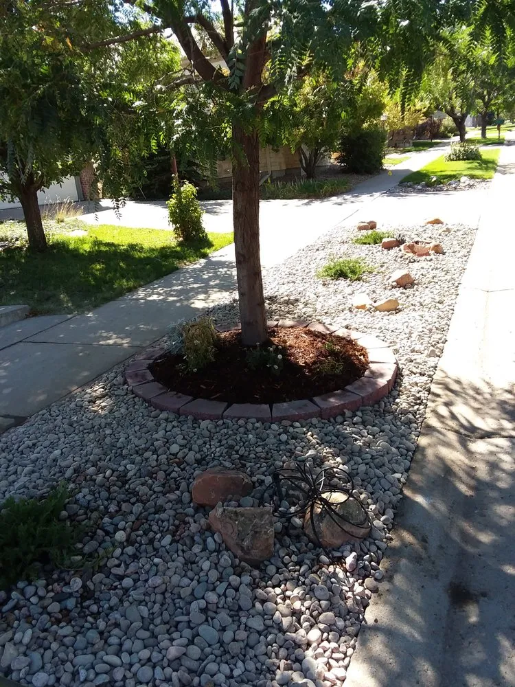 Expert yard cleanup service in Parker, CO by Piney Creek Planters