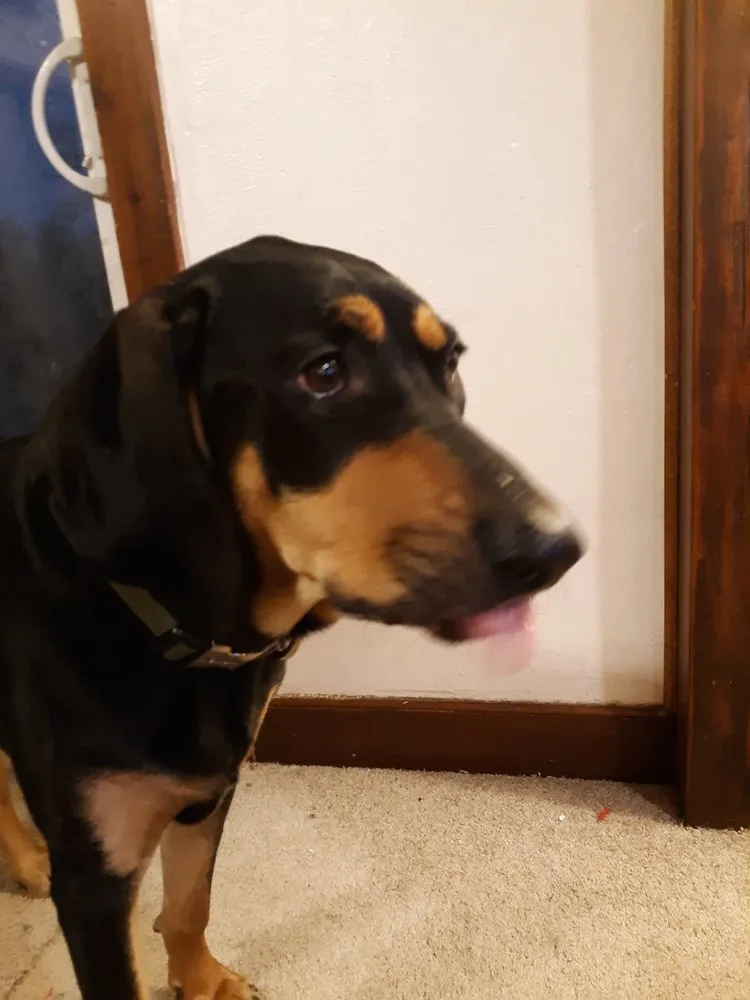 Trusted landscape installation in Parker, CO by Piney Creek Planters