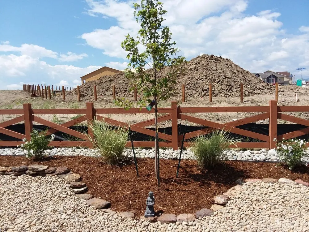 Affordable landscaping services in Parker, CO by Piney Creek Planters