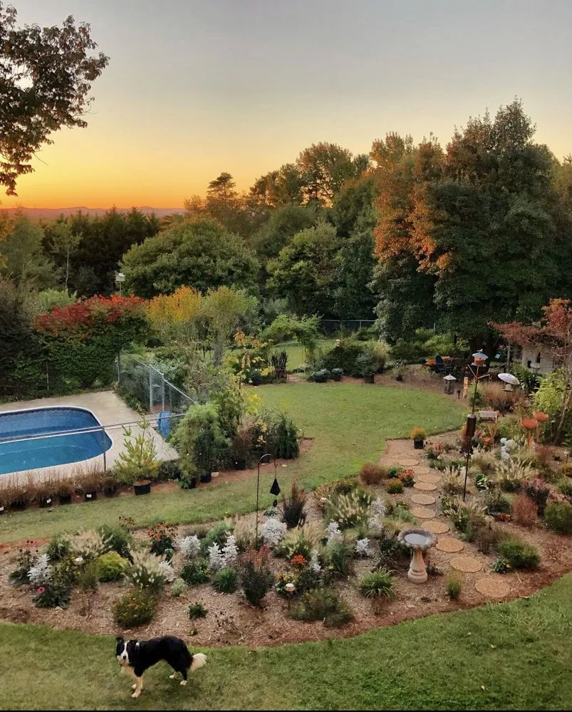 Custom yard maintenance for beautiful yards across Greenville, SC - Piney Mountain Design