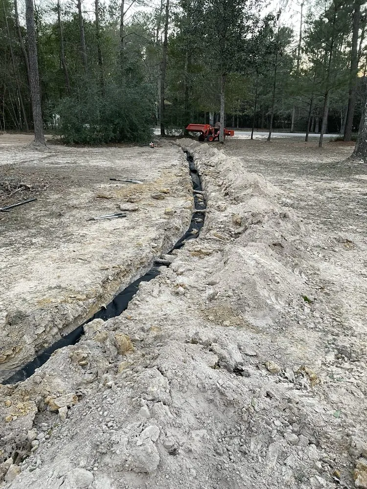 Affordable yard cleanup service in New Caney, TX - Piney Woods Land Preparation