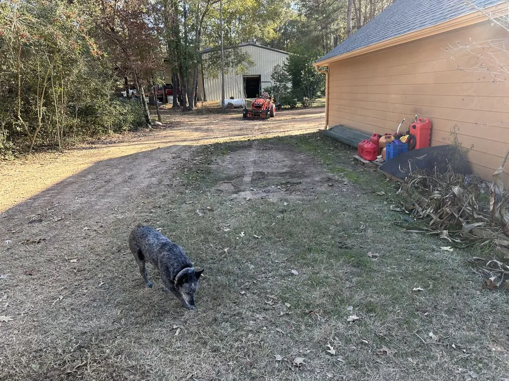 Professional yard cleanup service near you across New Caney, TX - Piney Woods Land Preparation