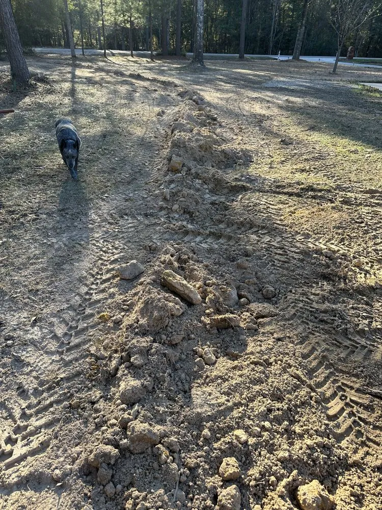 Custom lawn care service experts serving New Caney, TX - Piney Woods Land Preparation