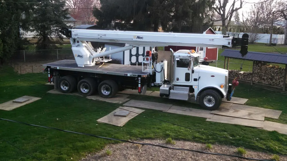 Top-rated yard maintenance in Indianapolis, IN by Ping's Tree Service