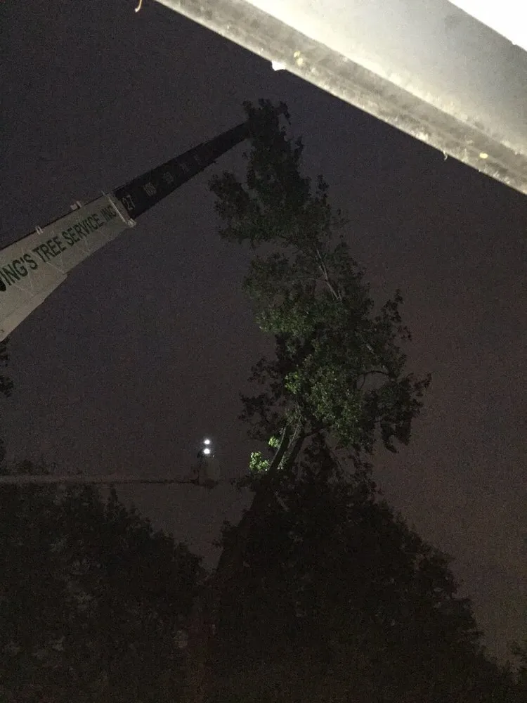 Expert lawn mowing service experts serving Indianapolis, IN - Ping's Tree Service