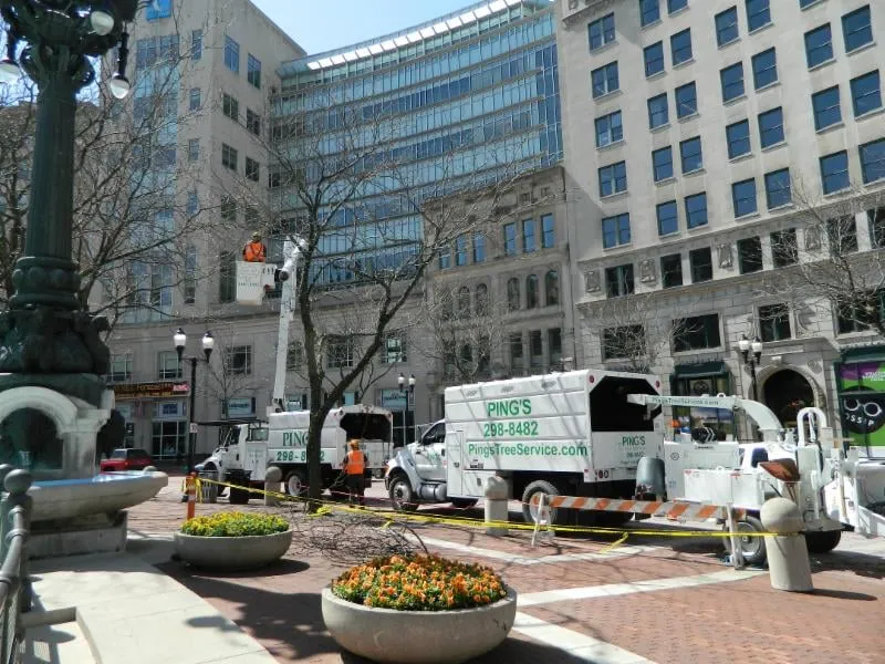 Expert garden landscaping for residential properties across Indianapolis, IN - Ping's Tree Service