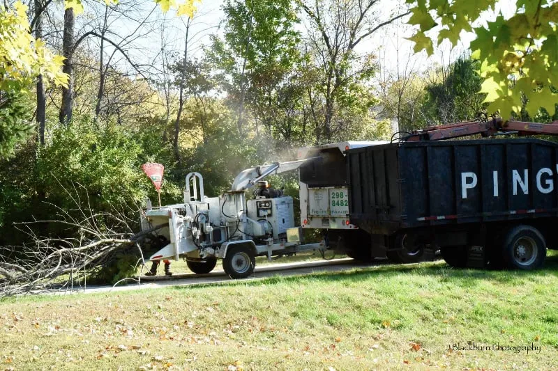 Trusted lawn care service in Indianapolis, IN by Ping's Tree Service