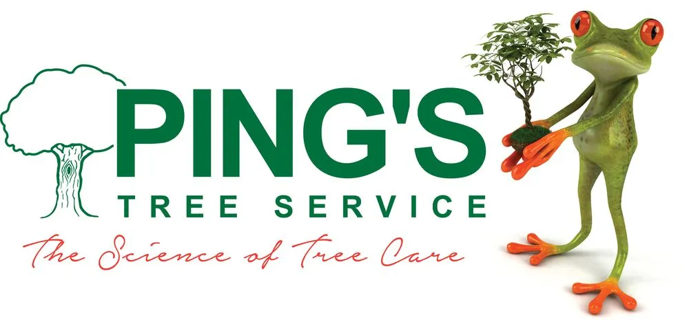 Trusted lawn care service for beautiful yards in Indianapolis, IN by Ping's Tree Service