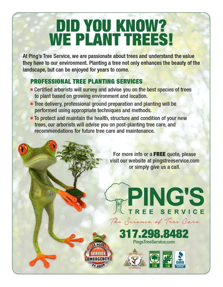 Local yard maintenance near you across Indianapolis, IN - Ping's Tree Service