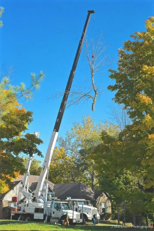 Custom landscape design for homes across Indianapolis, IN - Ping's Tree Service