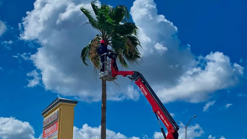 Trusted yard maintenance for year-round maintenance in Southwest Ranches, FL by Pink and Green Lawn Care and Landscape