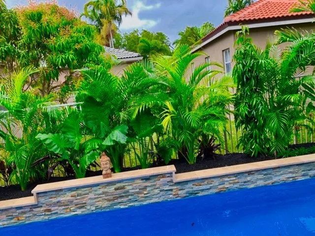 Trusted yard cleanup service experts serving Southwest Ranches, FL - Pink and Green Lawn Care and Landscape