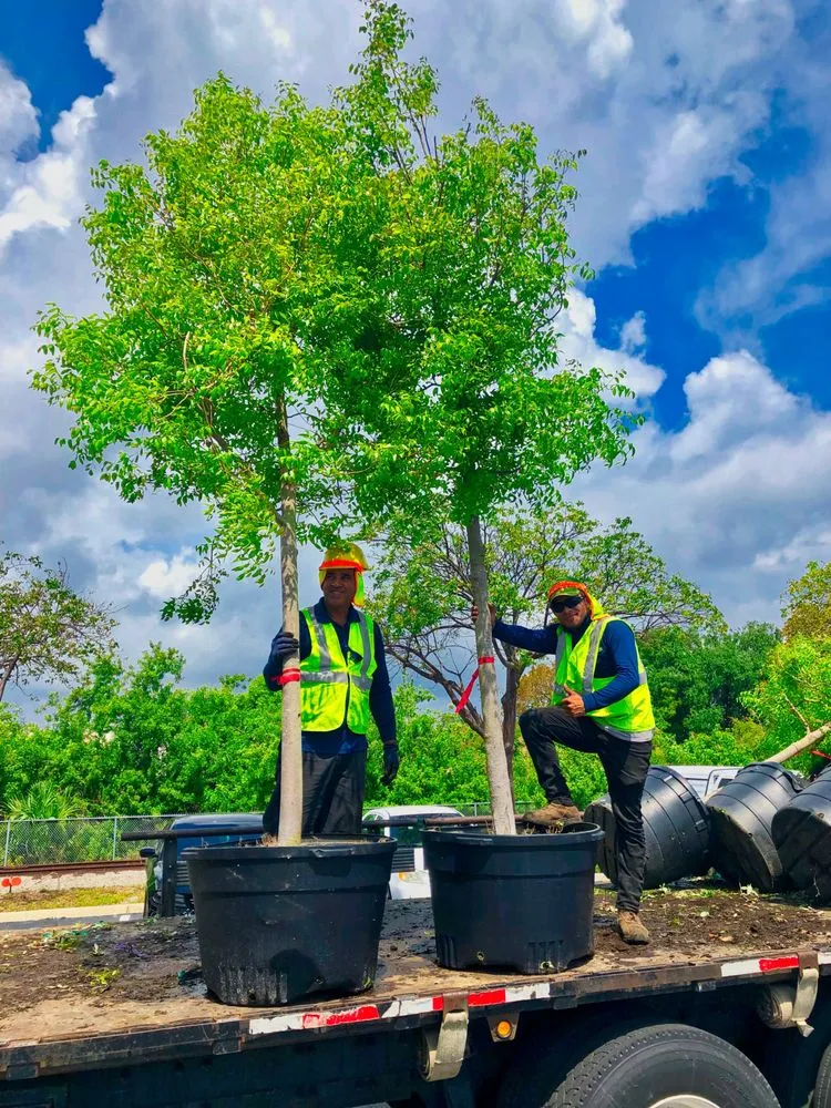 Custom residential landscaping in Southwest Ranches, FL - Pink and Green Lawn Care and Landscape