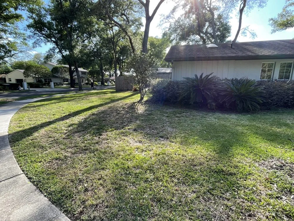 Top-rated residential landscaping in Orlando, FL by Pink Cut’s Lawn Service