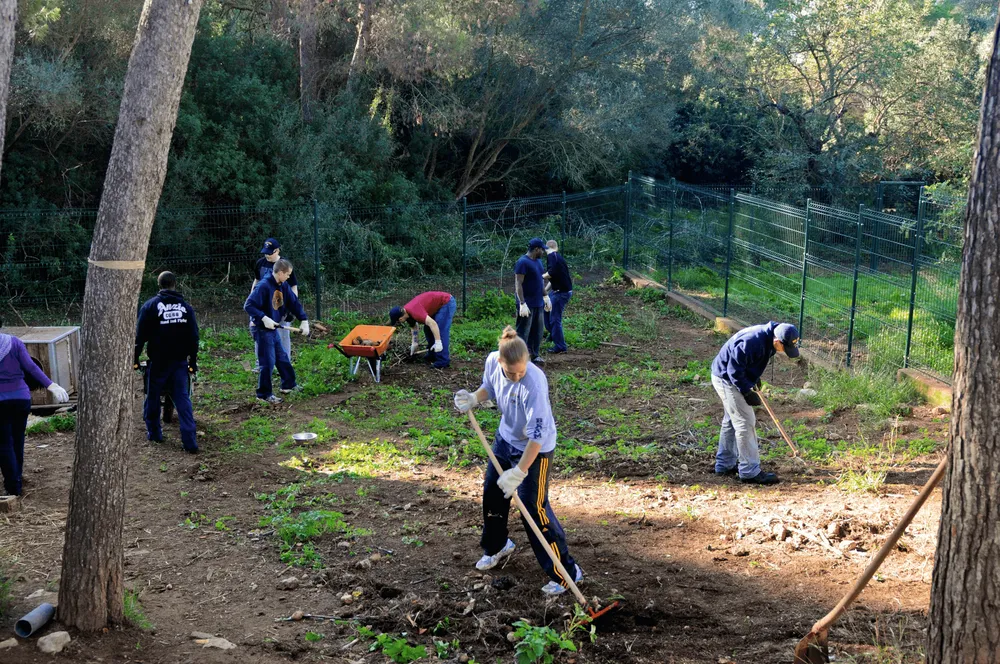 Custom landscaping services near you in Newry, SC by Pink House Services