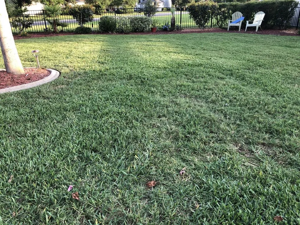 Reliable landscape design in St. Johns, FL - Pink Lawn Care