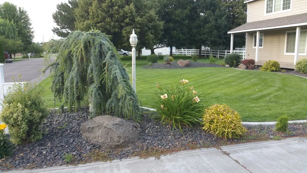 Trusted lawn care service in West Richland, WA by Pink Lawn Cure