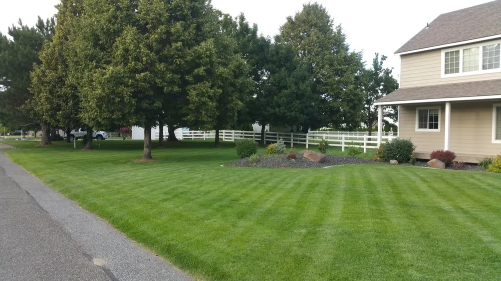 Custom landscape design in West Richland, WA by Pink Lawn Cure