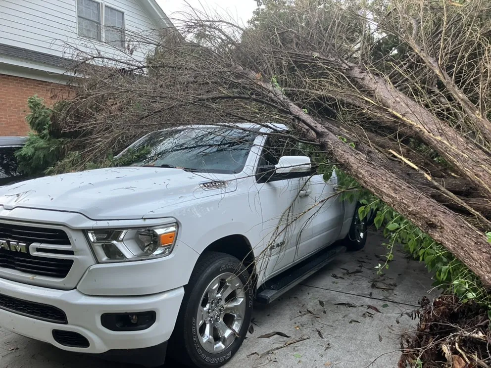 Reliable landscape design for year-round maintenance in Columbia, SC by Pink Pelican Tree Service & Landscaping
