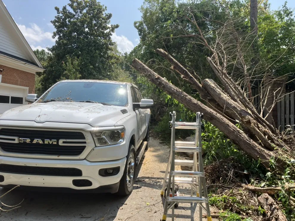 Custom lawn care service with custom design in Columbia, SC by Pink Pelican Tree Service & Landscaping