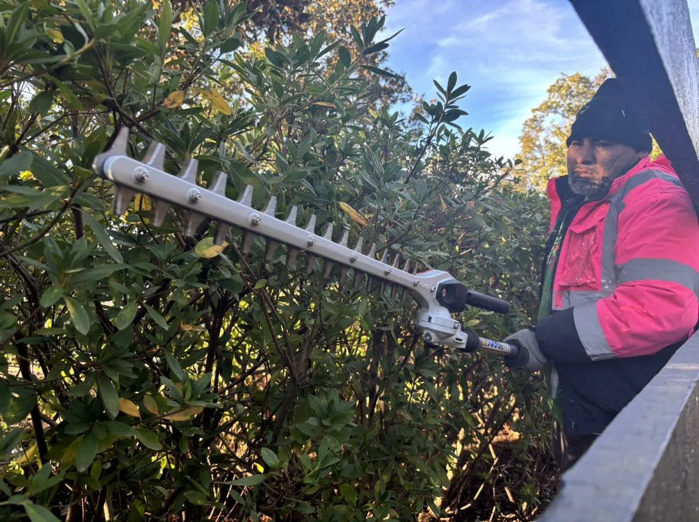 Local yard maintenance in Columbia, SC - Pink Pelican Tree Service & Landscaping