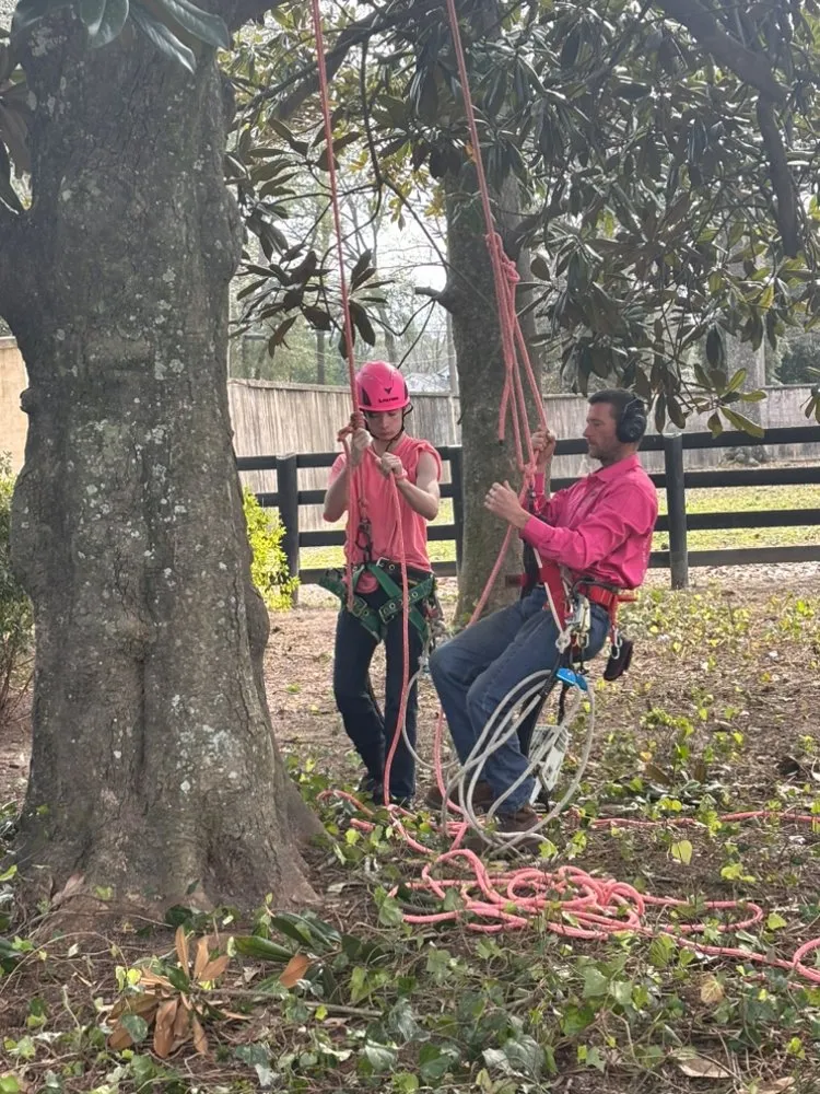 Professional yard cleanup service for year-round maintenance across Columbia, SC - Pink Pelican Tree Service & Landscaping