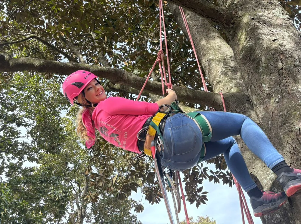 Top-rated landscaping services for residential properties in Columbia, SC by Pink Pelican Tree Service & Landscaping