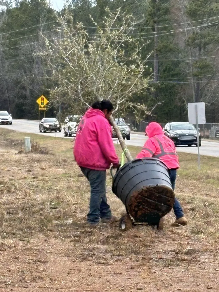 Local garden landscaping in Columbia, SC - Pink Pelican Tree Service & Landscaping