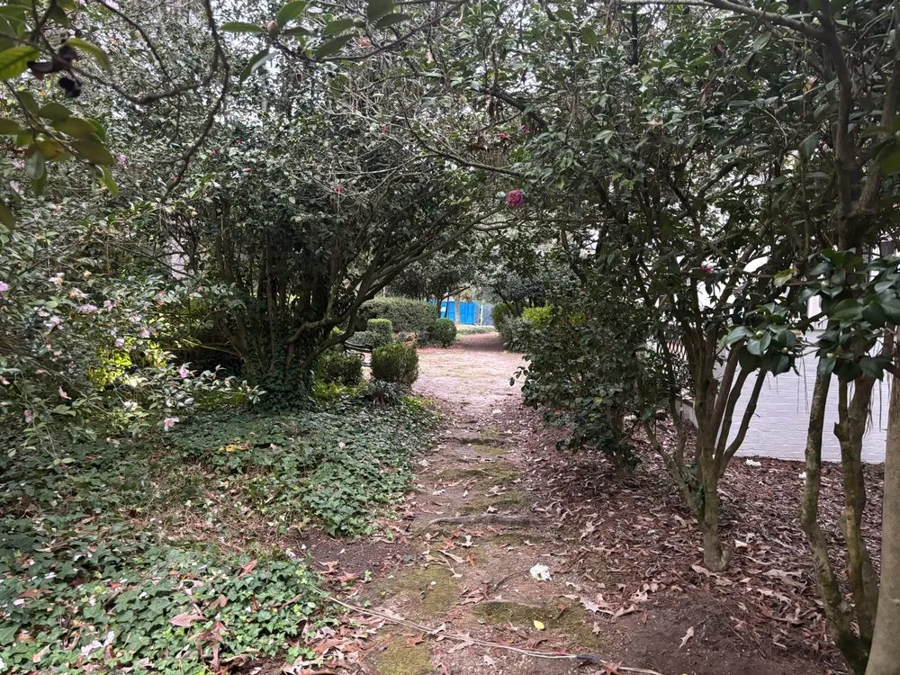 Professional garden landscaping in Columbia, SC by Pink Pelican Tree Service & Landscaping