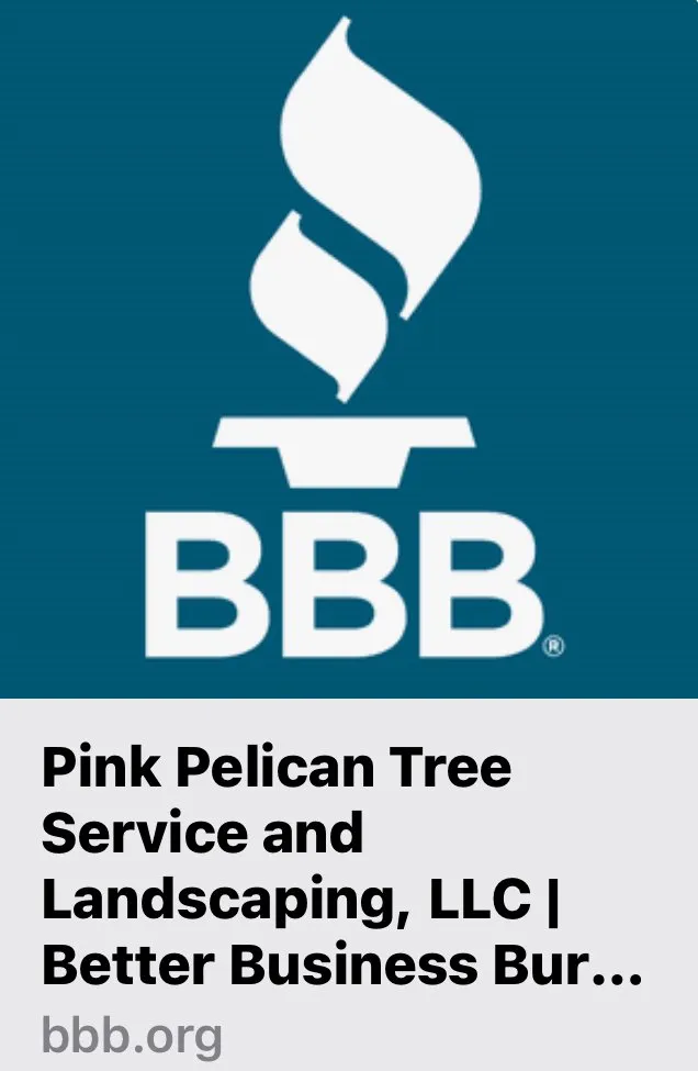 Professional yard cleanup service in Columbia, SC - Pink Pelican Tree Service & Landscaping