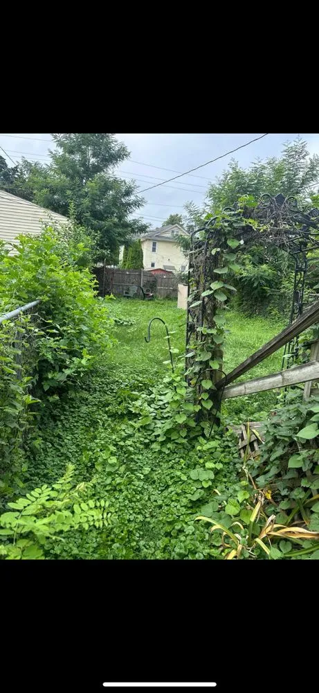 Local landscape installation in Moline, IL - Pinkies Lawn Care