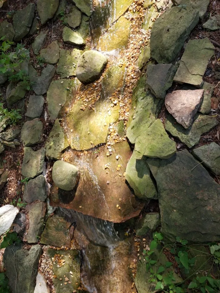 Expert residential landscaping with custom design across Springfield, MO - Pinkman Precision Irrigation Services