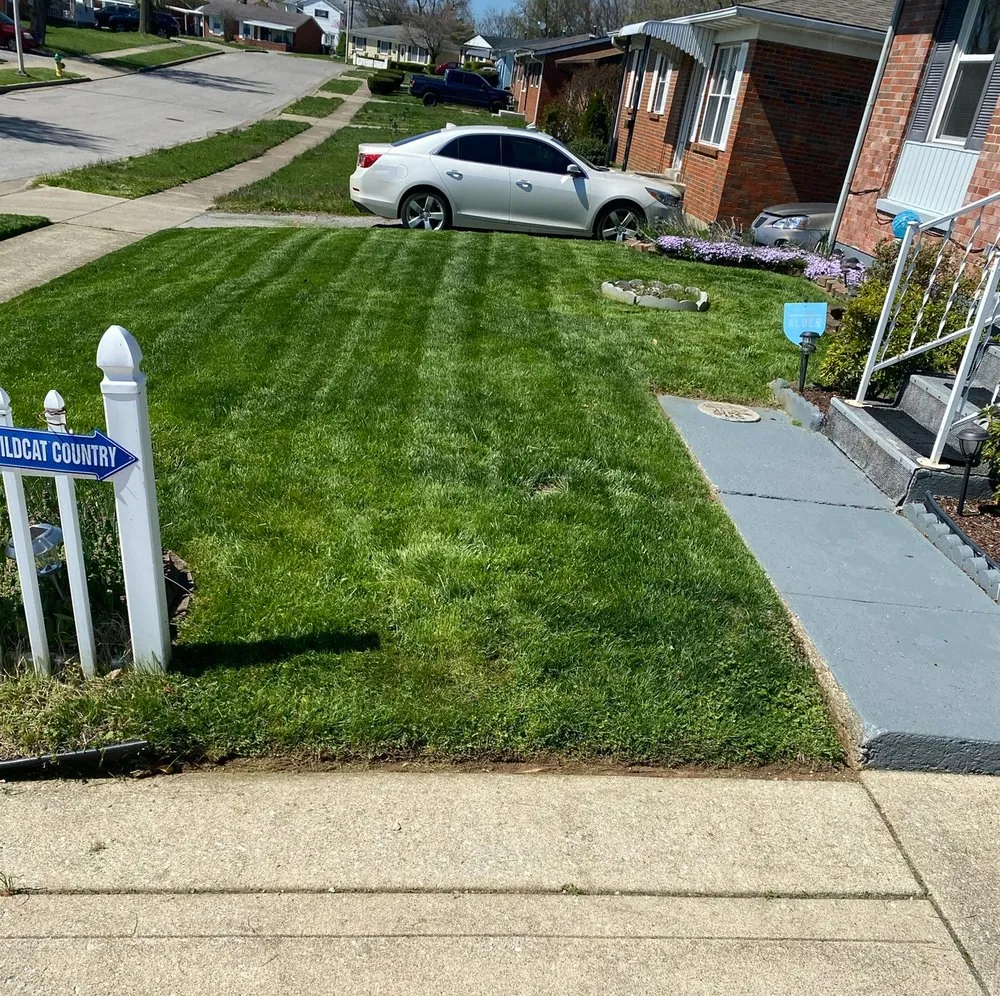 Custom yard cleanup service in Lexington-Fayette, KY - Pinkston all Purpose