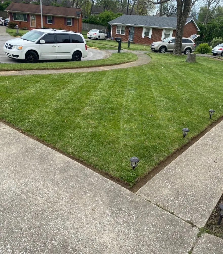 Top-rated yard maintenance for year-round maintenance across Lexington-Fayette, KY - Pinkston all Purpose