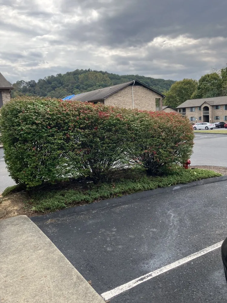 Expert lawn mowing service for year-round maintenance in Knoxville, TN by Pinkston Handyman Services