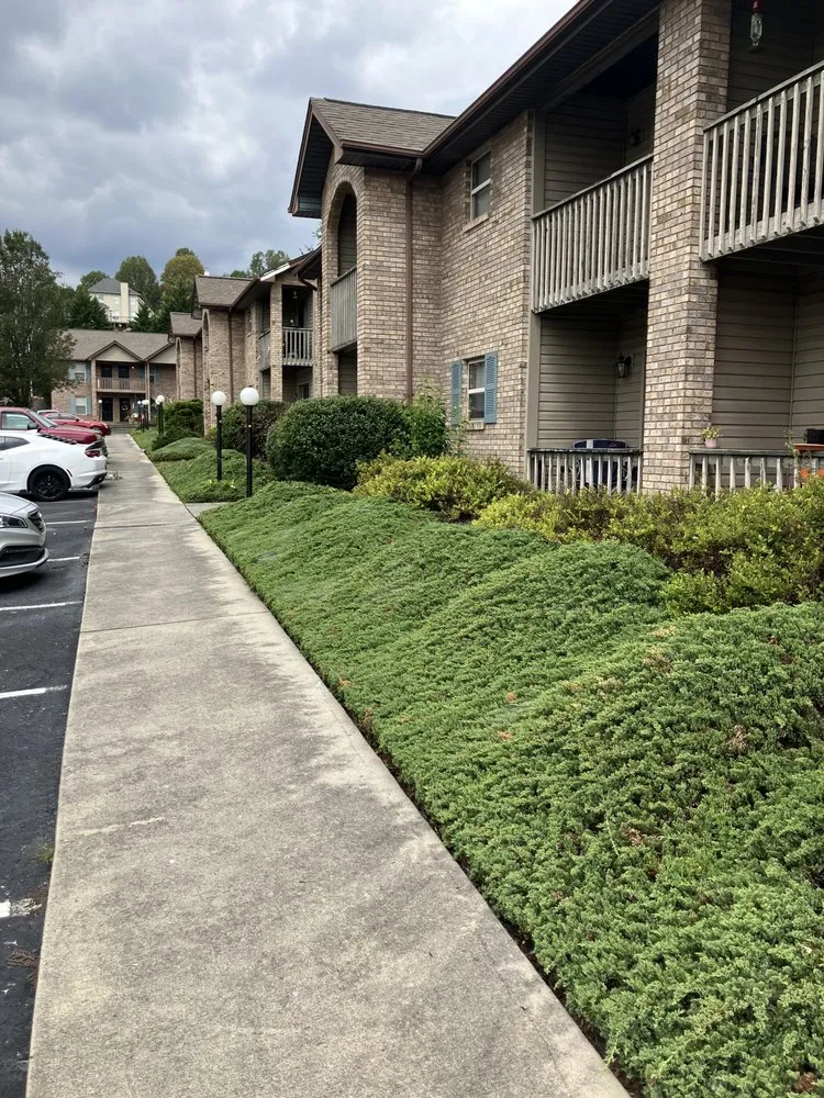 Local lawn mowing service with custom design across Knoxville, TN - Pinkston Handyman Services