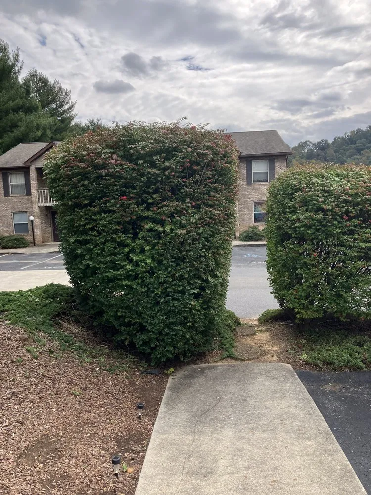 Trusted landscape installation experts serving Knoxville, TN - Pinkston Handyman Services