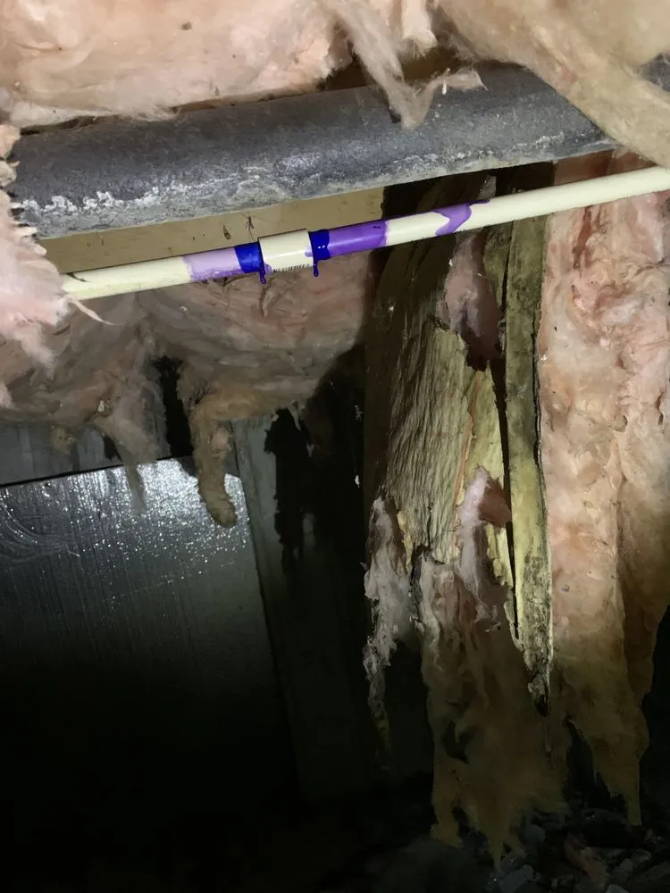 Reliable yard maintenance in Knoxville, TN by Pinkston Handyman Services