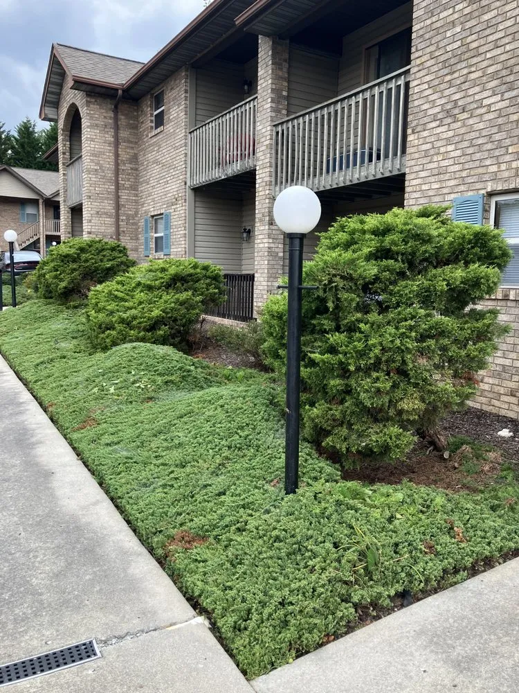 Reliable lawn care service for beautiful yards in Knoxville, TN by Pinkston Handyman Services