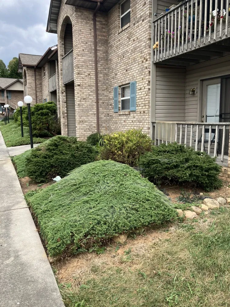 Expert lawn care service with custom design across Knoxville, TN - Pinkston Handyman Services