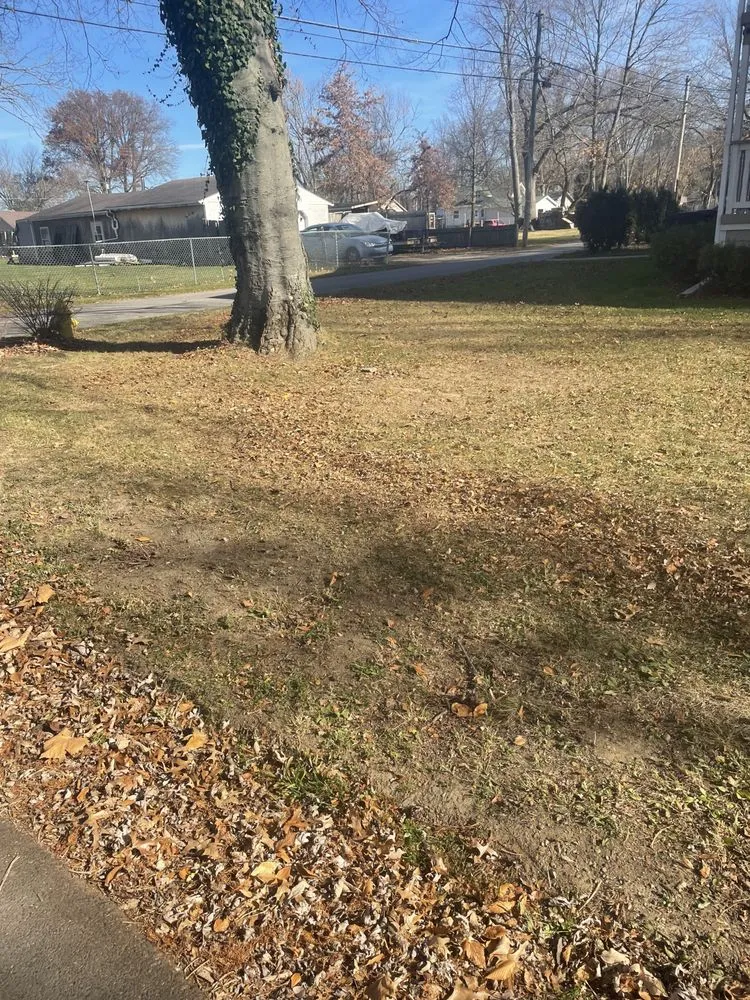 Professional lawn care service for beautiful yards across Columbus, OH - Pinkston's Lawn Maintenance