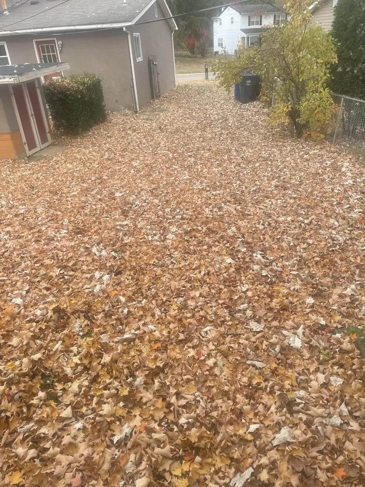 Local yard maintenance for year-round maintenance in Columbus, OH by Pinkston's Lawn Maintenance