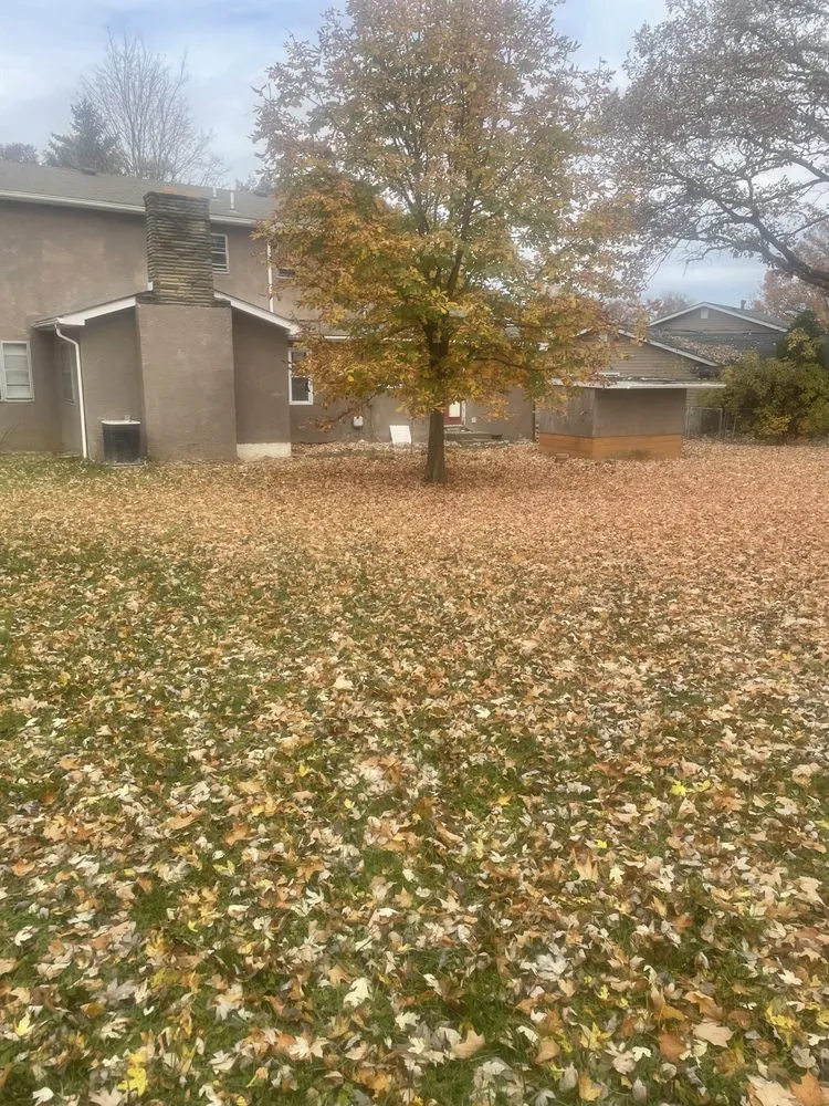 Local lawn mowing service in Columbus, OH by Pinkston's Lawn Maintenance