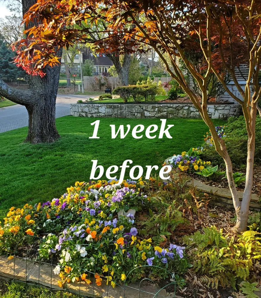 Top-rated lawn care service experts serving Tulsa, OK - Pinkston's Turf Services