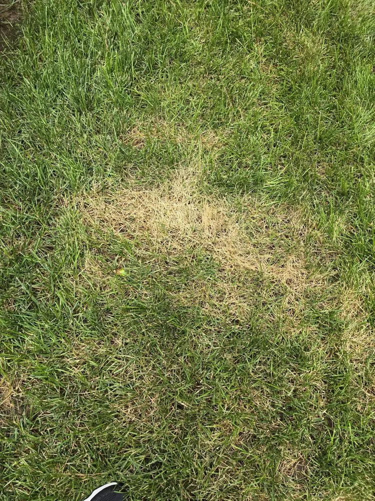 Trusted yard maintenance in Tulsa, OK - Pinkston's Turf Services