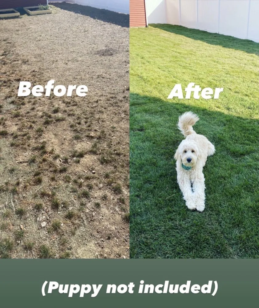 Professional outdoor landscaping near you in Indianapolis, IN by Pinky's Landscape Services