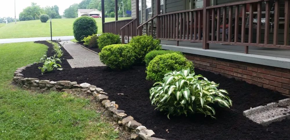 Reliable landscaping services for homes in Helenwood, TN by Pinnacle Contracting