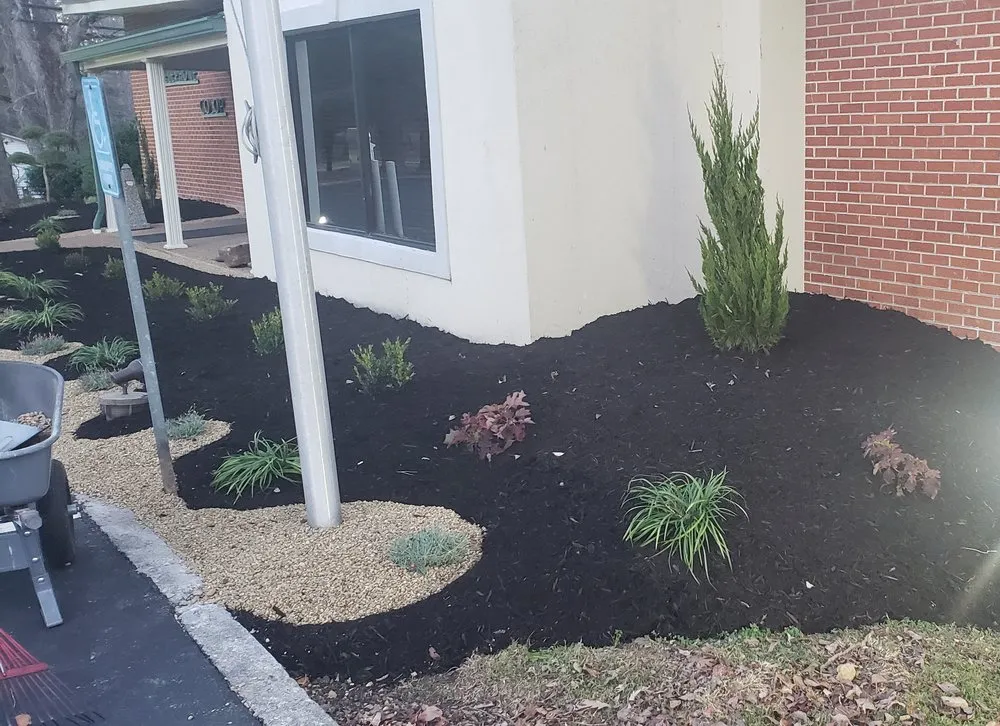 Expert yard maintenance experts serving Helenwood, TN - Pinnacle Contracting